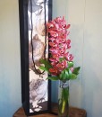 valentines-day-secret-admirer-orchid