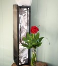 valentines-day-secret-admirer-rose