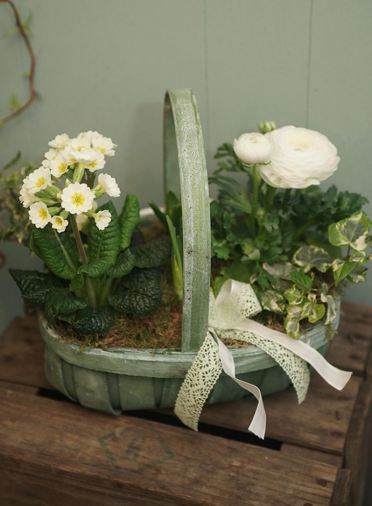 The Cornflower Floral Design