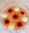 Wedding Package – Gerbera Collection