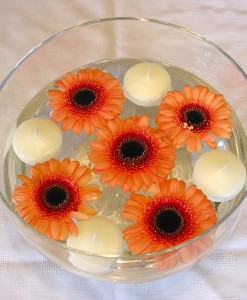 Wedding Package - Gerbera Collection