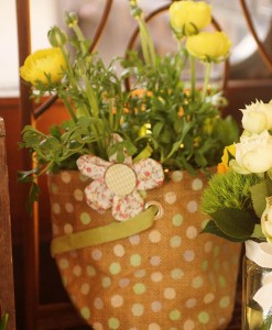 Gift Occasion - Ranunculus Plant
