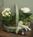 Springtime Planter - The Cornflower Floral Design