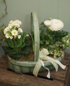 Springtime Planter - The Cornflower Floral Design